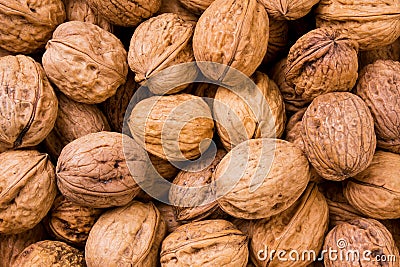 Walnuts Stock Photo