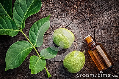 Walnuts, bottle of Juglans regia tincture. Stock Photo