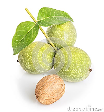 Walnuts green close-up isolated Stock Photo