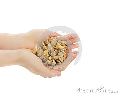 Walnuts Stock Photo