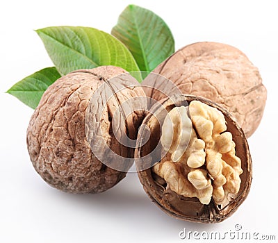 Walnuts with leaf. Stock Photo