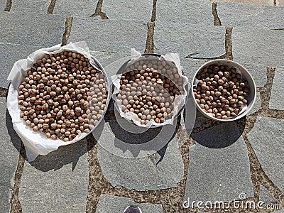 Walnuts in the pan under the sun in Stock Photo