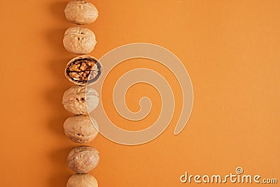 walnuts pattern on brown background, top view walnuts in shell and without shell in a row Stock Photo