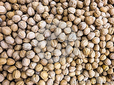 Walnuts , pile of nuts, walnuts background Stock Photo