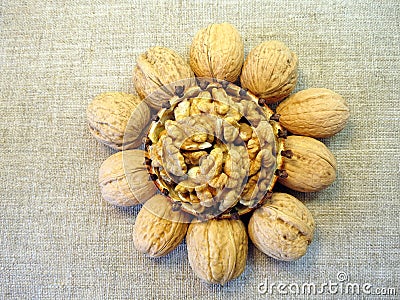 Walnuts Stock Photo