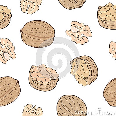 Walnuts seamless pattern Vector Illustration