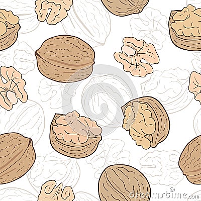 Walnuts seamless pattern Vector Illustration