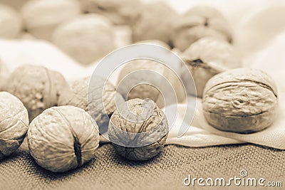 Walnuts fresh in sepia color Stock Photo