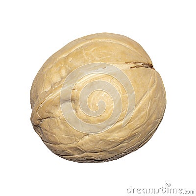 Walnuts with shells top view.Walnut background close-up.Whole walnuts on a white background. Stock Photo