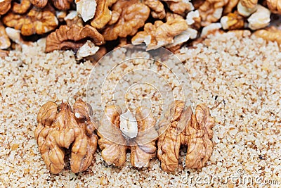 Walnuts are a tree nut belonging to the walnut family Stock Photo