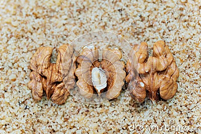 Walnuts are a tree nut belonging to the walnut family Stock Photo