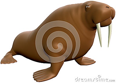 Walrus Stock Photo