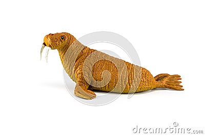 Walrus toy isolated Stock Photo