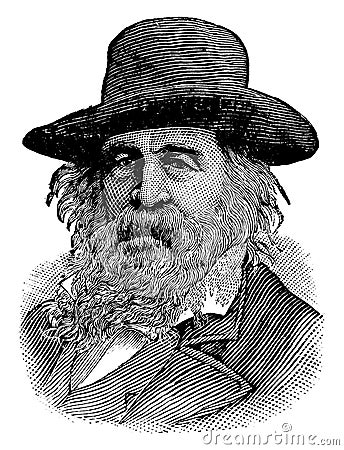 Walt Whitman, vintage illustration Vector Illustration