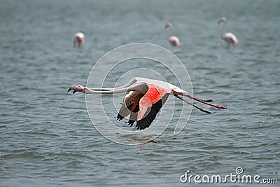 Walvis Bay, Namibia Stock Photo