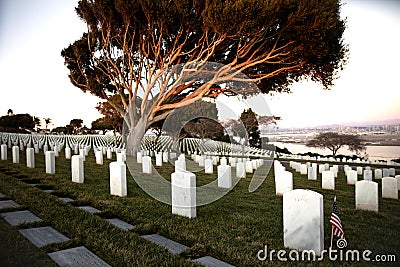 War cemetery with rows of white marble graves on green grass at sunset with ocean view. Marine veteran's cemetery Editorial Stock Photo