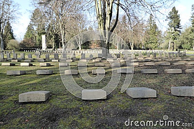 War graves from the First World War in Cologne's southern cemetery. Standardized, weathered tombstones . Editorial Stock Photo