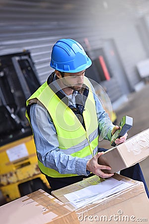 Warehouseman scanning delivered goods Stock Photo