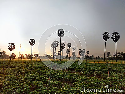 Warm atmosphere on a new day Stock Photo