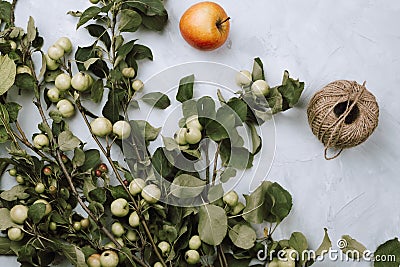 Warm autumn flatlay with apple branches, fruits and twine on grey Stock Photo