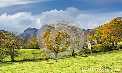 Warm autumn sunshine on trees in the Lake District countryside with blue skies and clouds Stock Photo