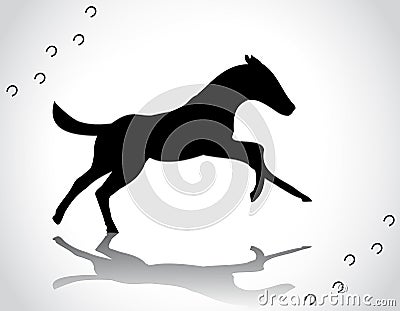 Warm-blooded foal Vector Illustration