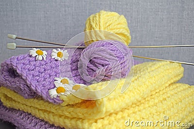 A warm lilac-yellow scarf. Stock Photo
