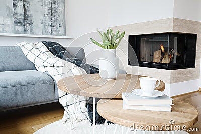 Warm living room with fireplace Stock Photo