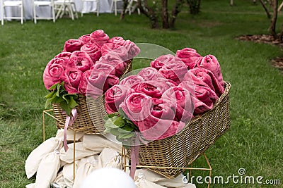 Warm pink blankets rolled up in the form of roses in a large basket for guests at an outdoor wedding party. Individual dance white Stock Photo