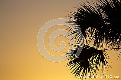Warm Sunrise, Port St. Lucie, Florida Stock Photo