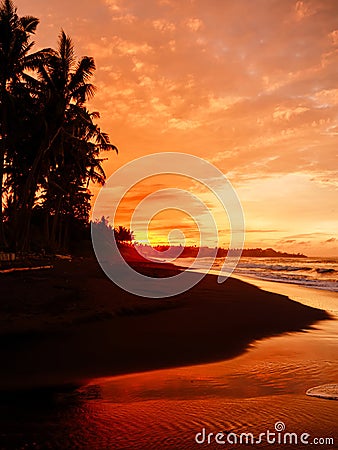 Warm sunset or sunrise with ocean waves and palms at black sand beach Stock Photo