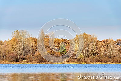 Warm view of trees close to the Dnieper river in autumn Stock Photo