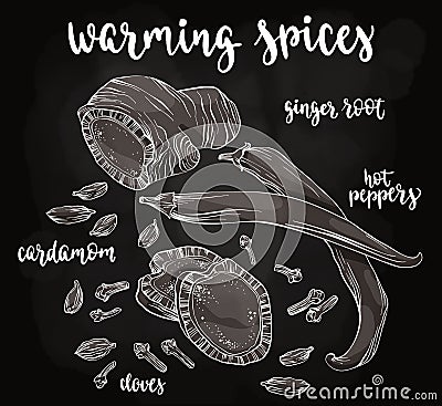 Warming spices. Vector Illustration
