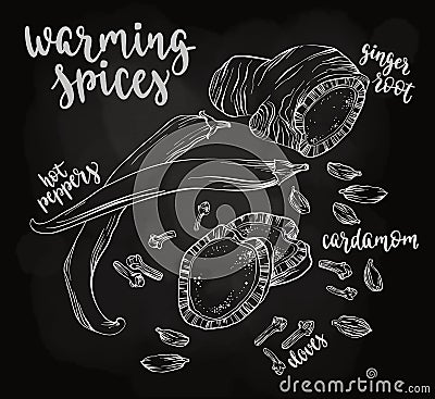 Warming spices. Vector Illustration