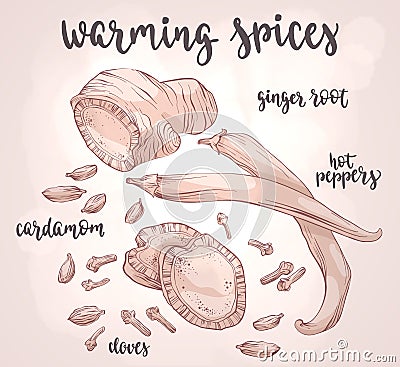 Warming spices. Vector Illustration