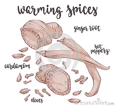 Warming spices. Vector Illustration