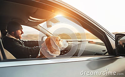 Warmly dressed man enjoying the modern car driving with his beagle dog sitting on the co-driver passenger seat. Traveling with pe Stock Photo