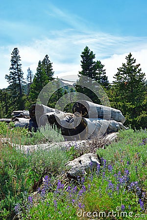 Warner Mountains, Modoc County, California Stock Photo