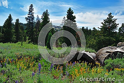 Warner Mountains, Modoc County, California Stock Photo