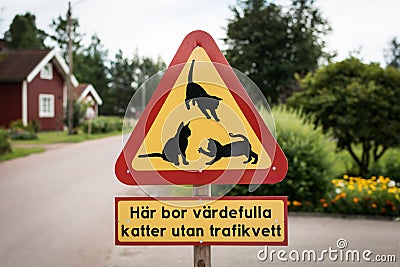 Warning road sign: be careful, cats on the road Stock Photo