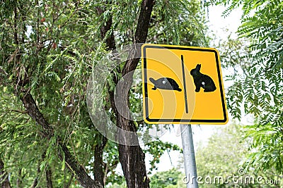 Warning sign cross the road rabbit and turtle in park. Stock Photo