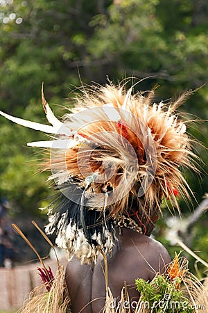 Warrior in tribal birds of paradise feather headdress Editorial Stock Photo