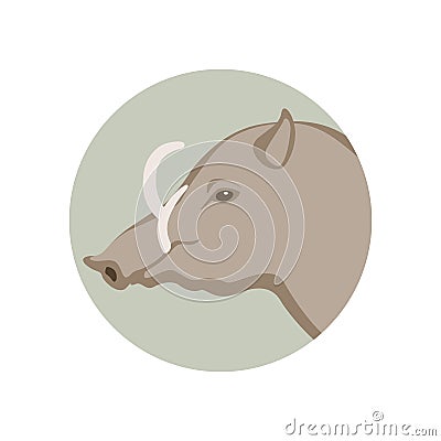 Warthog head vector illustration style Flat Vector Illustration