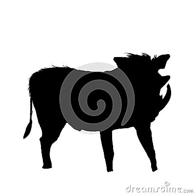 Warthog - Silhouette Vector Illustration