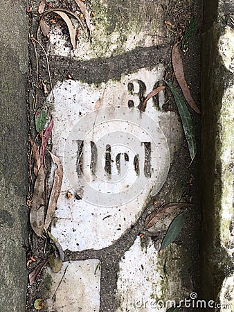 Gravestone reclaimed, 29. Stock Photo