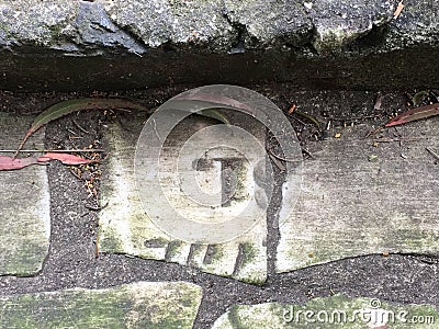 Gravestone reclaimed, 30. Stock Photo