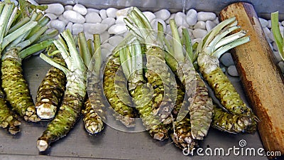 Wasabi roots Stock Photo