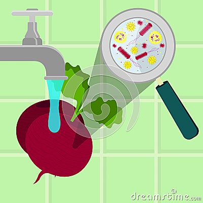 Washing contaminated beet Vector Illustration