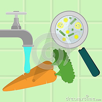 Washing contaminated carrots Vector Illustration