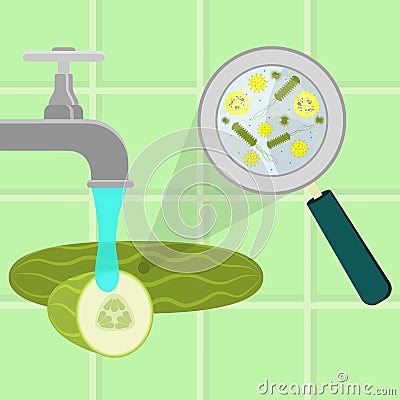 Washing contaminated cucumber Vector Illustration